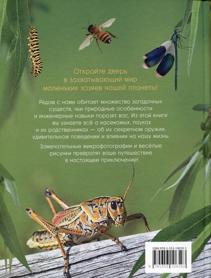Обложка книги "Невероятные насекомые и другие маленькие животные"