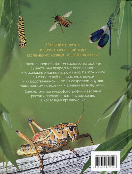 Обложка книги "Невероятные насекомые и другие маленькие животные"