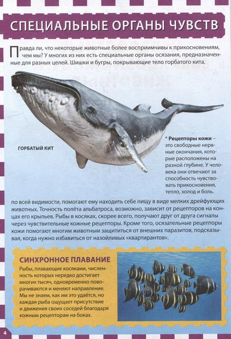 Фотография книги "Невероятные сверхвозможности животных. Детская энциклопедия"