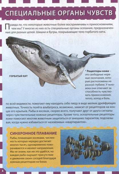 Фотография книги "Невероятные сверхвозможности животных. Детская энциклопедия"