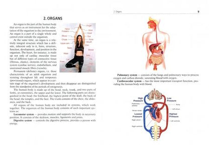 Фотография книги "Незлобина, Сурненкова: Английский язык для фельдшеров. Учебник"