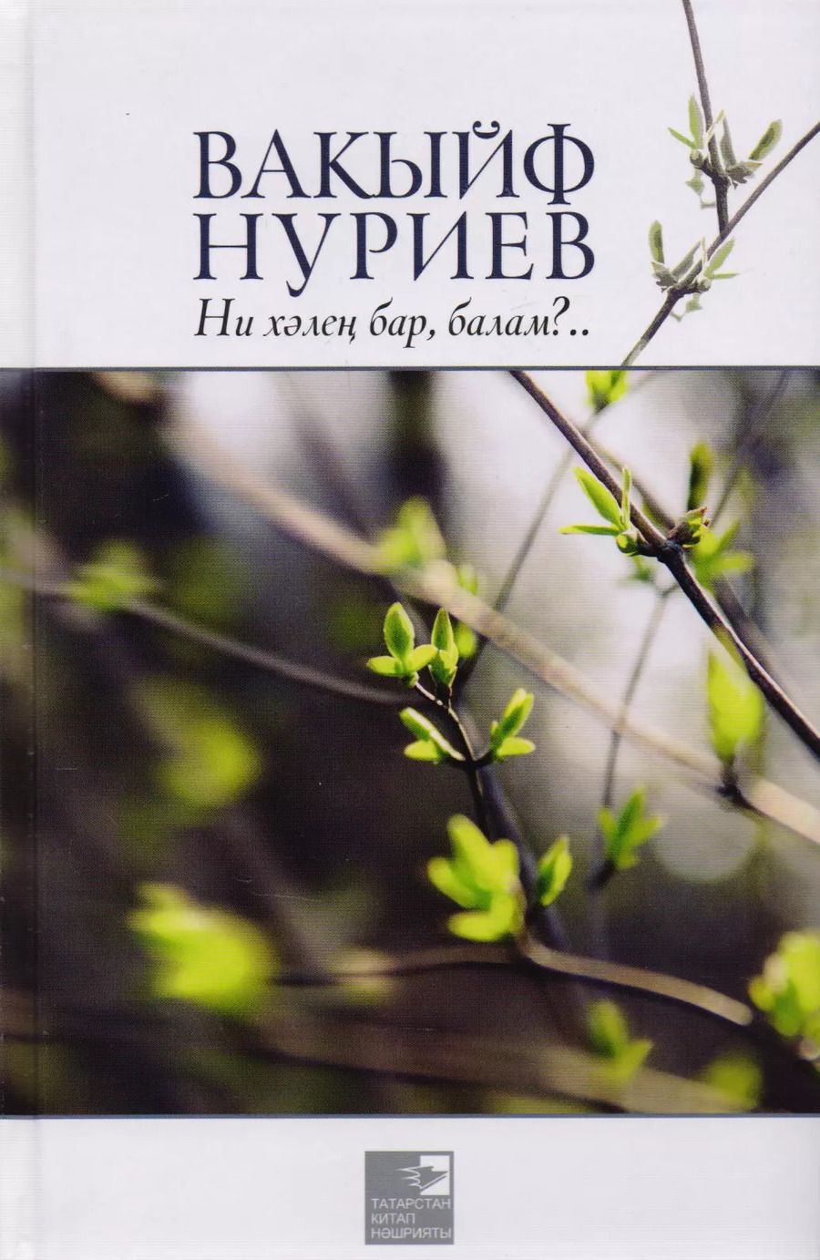 Обложка книги "Как у тебя дела, сынок? / Ни хэлен бар, балам?"