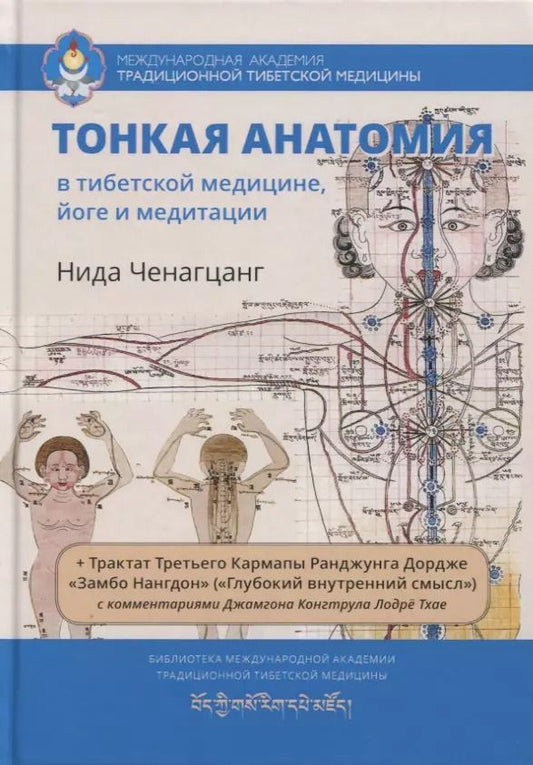 Обложка книги "Нида Ченагцанг: Тонкая анатомия в тибетской медицине, йоге и медитации. Ключ к энергетической структуре человека"