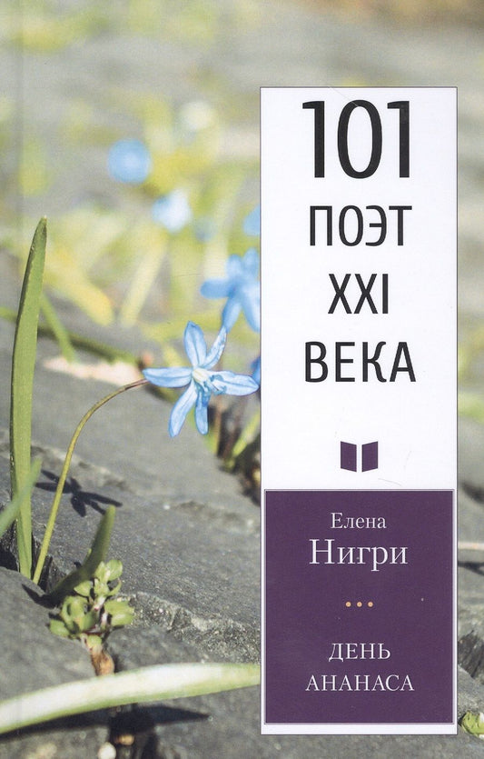 Обложка книги "Нигри: День ананаса"