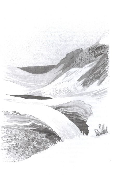 Фотография книги "Никита Тихомиров: Хождение в Похъелу"