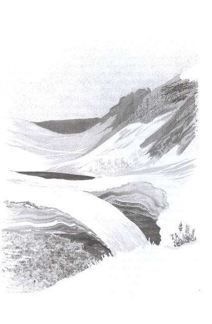 Фотография книги "Никита Тихомиров: Хождение в Похъелу"