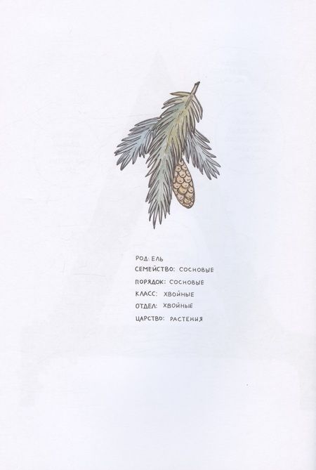 Фотография книги "Никитина: Азбука Северных растений"