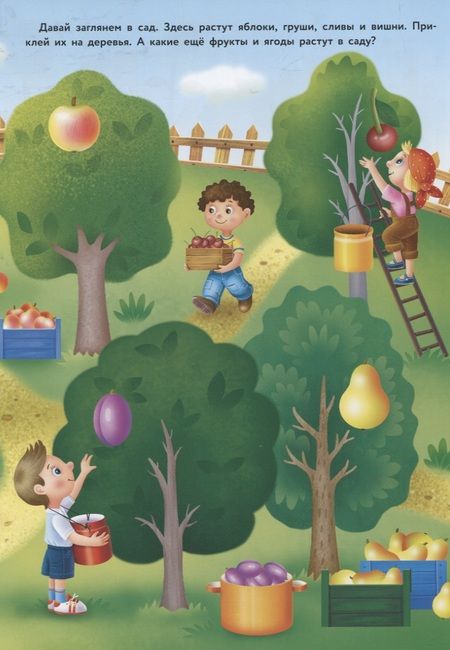 Фотография книги "Никитина: Фрукты и ягоды"