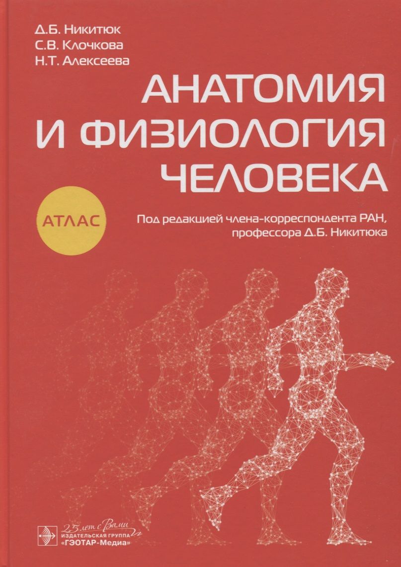 Обложка книги "Никитюк Дмитрий: Анатомия и физиология человека. Атлас"