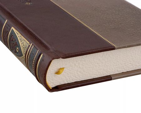 Фотография книги "Никколо Макиавелли: Никколо Макиавелли. Государь. Коллекционное иллюстрированное издание премиум-класса в кожаном переплете ручной работы в стиле 19 века с бинтами, красочным тиснением и торшонированными обрезами"