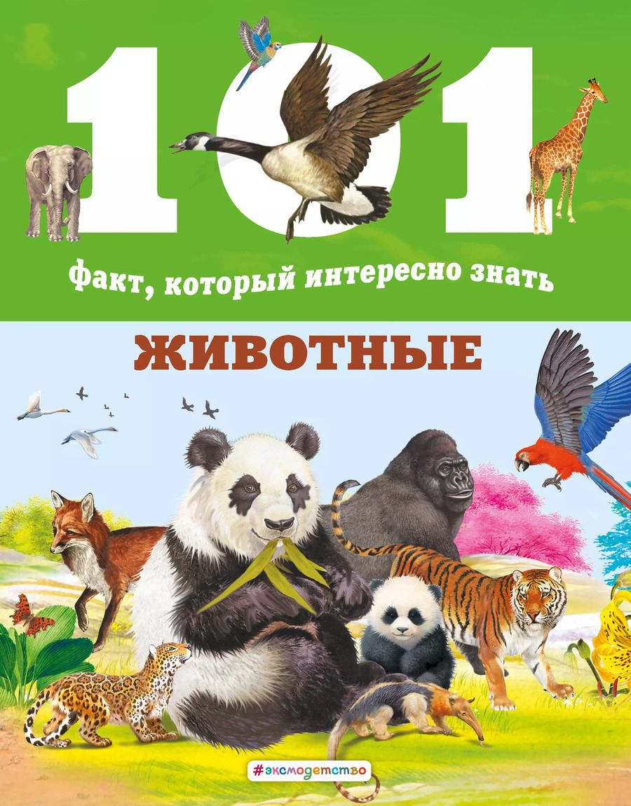 Обложка книги "Нико Домингес: Животные"