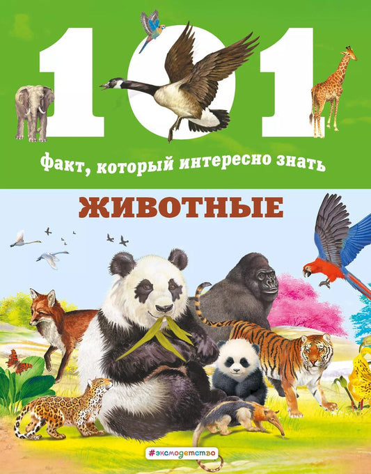 Обложка книги "Нико Домингес: Животные"