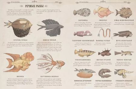 Фотография книги "Никола Кухарска: Затерянный остров"