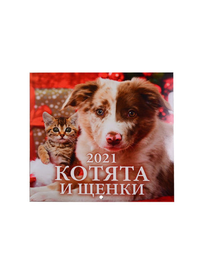 Обложка книги "Николаев, Прибутковская, Пройман: Вертикаль Валерия Сдобнякова"
