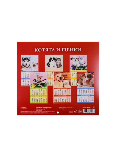 Фотография книги "Николаев, Прибутковская, Пройман: Вертикаль Валерия Сдобнякова"