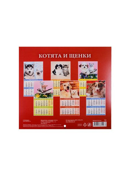 Фотография книги "Николаев, Прибутковская, Пройман: Вертикаль Валерия Сдобнякова"