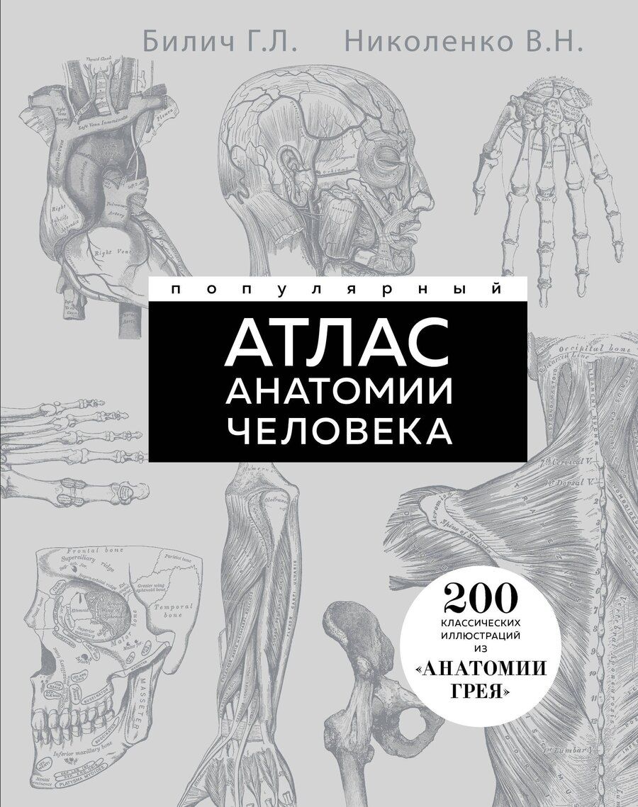 Обложка книги "Николаевич, Лазаревич: Популярный атлас анатомии человека. 200 классических иллюстраций из «Анатомии Грея»"