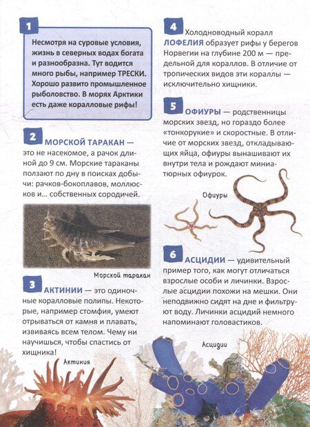 Фотография книги "Николаевна, Михайлович: Энциклопедия российского школьника. Подводный мир. 250 фактов"
