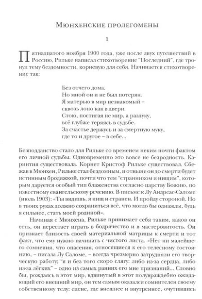 Фотография книги "Николай Болдырев: Последнее средневековье Райнера Рильке"