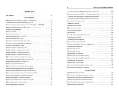 Фотография книги "Николай Борисов: Русский язык: наглядно и доступно"
