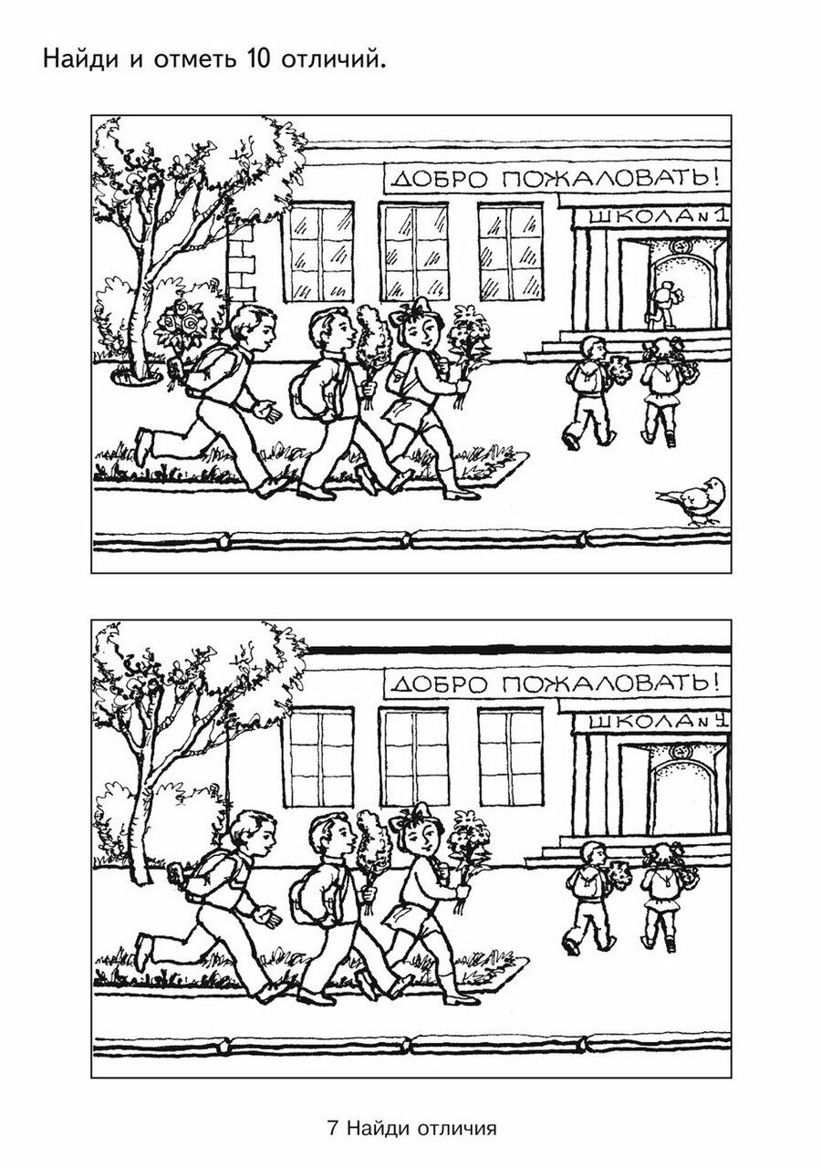 Обложка книги "Николай Борисович: Дошкольная папка. Найди отличия.."