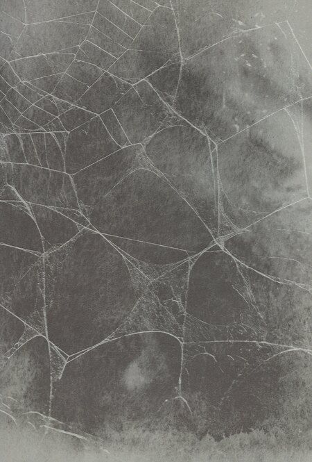 Фотография книги "Николай Гоголь: Шинель"