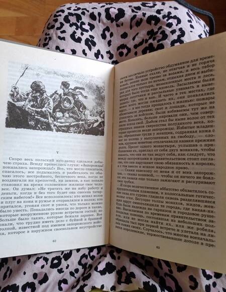 Фотография книги "Николай Гоголь: Тарас Бульба"