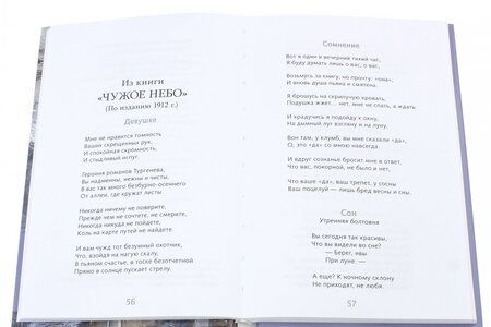 Фотография книги "Николай Гумилев: Капитаны"