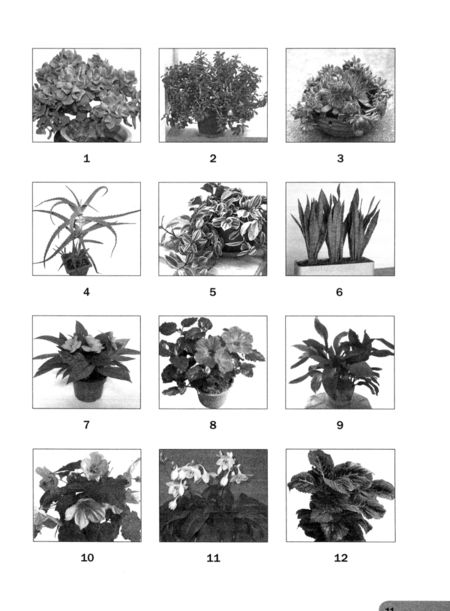 Фотография книги "Николай Калиничев: Биология. 5 класс. Я познаю жизнь. Мир биологии. Практикум для внеурочной деятельности"