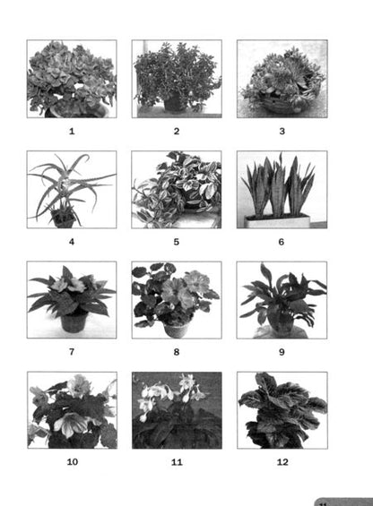 Фотография книги "Николай Калиничев: Биология. 5 класс. Я познаю жизнь. Мир биологии. Практикум для внеурочной деятельности"