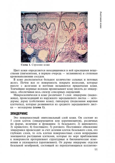 Фотография книги "Николай Кочергин: Кожные и венерические болезни. Диагностика, лечение и профилактика. Учебник"