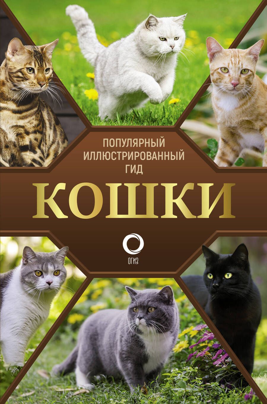 Обложка книги "Николай Непомнящий: Кошки. Популярный иллюстрированный гид"