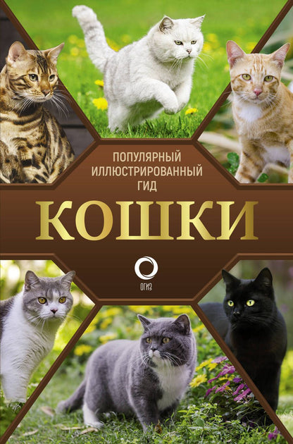 Обложка книги "Николай Непомнящий: Кошки. Популярный иллюстрированный гид"