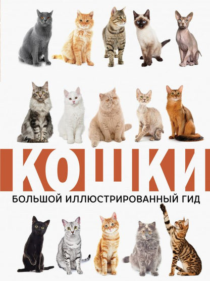 Обложка книги "Николай Непомнящий: Кошки"