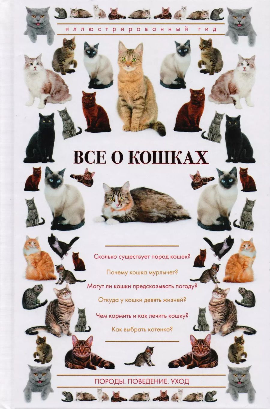 Обложка книги "Николай Непомнящий: Все о кошках"
