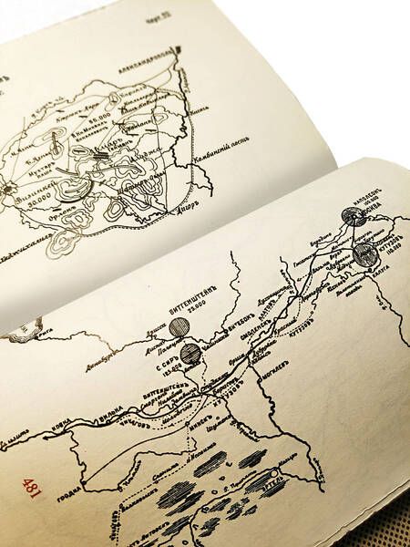 Фотография книги "Николай Петрович: Уроки стратегии. Российская Императорская офицерская школа. Коллекционное издание карманного формата отпечатано лимитированным тиражом на бумаге премиум-класса и переплетено вручную по старинной технологии в натуральную фактурную кожу, с многоцветным тисн"