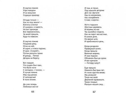 Фотография книги "Николай Рубцов: Лирика"