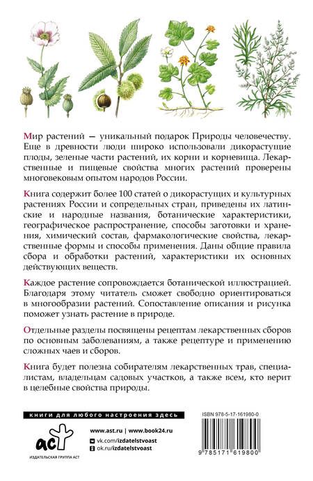 Фотография книги "Николай Сафонов: Травник. Лекарственные растения от А до Я"