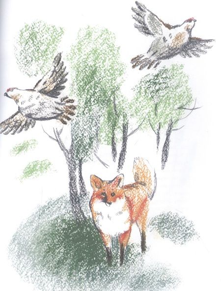 Фотография книги "Николай Семченко: Заяц в море. Рассказы о Северной Камчатке"