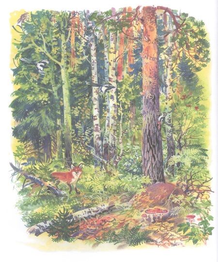 Фотография книги "Николай Сладков: Лесные тайнички. Рассказы о природе"