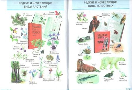 Фотография книги "Николай Сонин: Биология. Введение в биологию. 5 класс. Рабочая тетрадь"