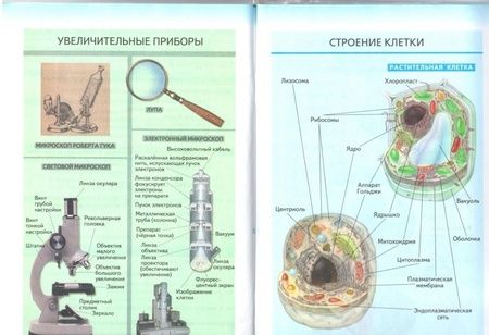 Фотография книги "Николай Сонин: Биология. Введение в биологию. 5 класс. Рабочая тетрадь"
