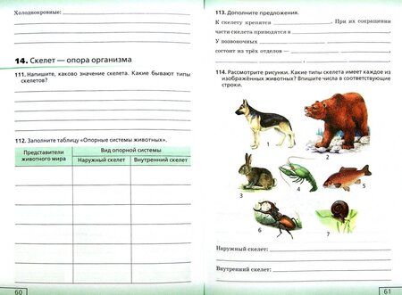 Фотография книги "Николай Сонин: Биология. Живой организм. 6 класс. Рабочая тетрадь. ФГОС"