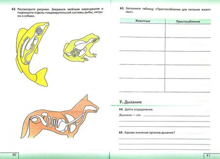 Фотография книги "Николай Сонин: Биология. Живой организм. 6 класс. Рабочая тетрадь с тестовыми заданиями ЕГЭ к учебнику Н.И. Сонина"
