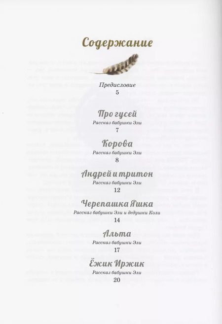 Фотография книги "Никольский, Никольская: Эля и Медведь"