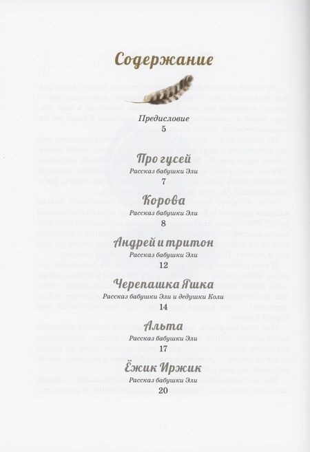 Фотография книги "Никольский, Никольская: Эля и Медведь"