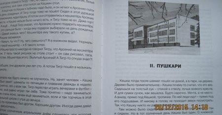 Фотография книги "Нина Дашевская: Скрипка неизвестного мастера"