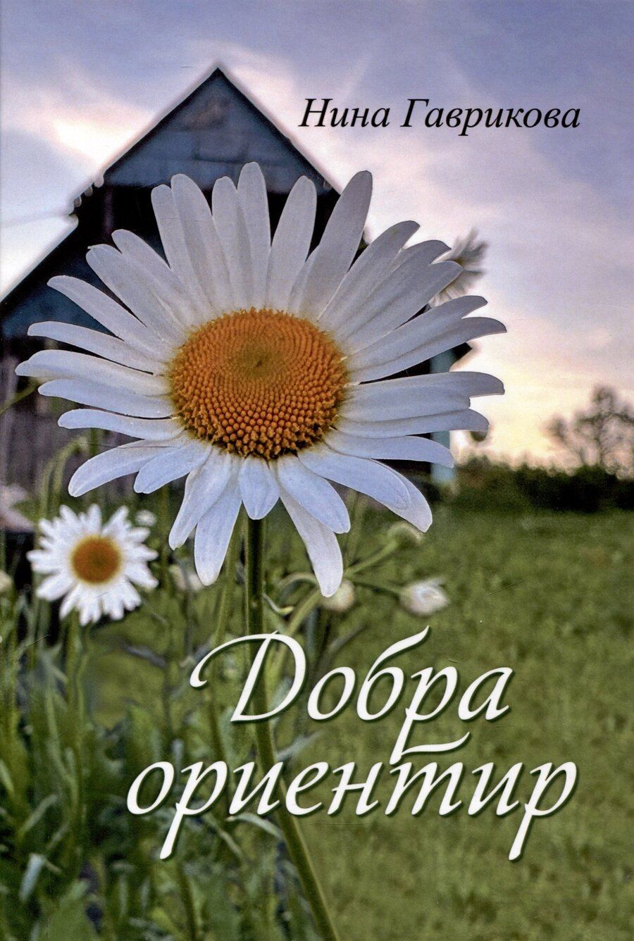 Обложка книги "Нина Гаврикова: Добра ориентир (избранное): сборник стихотворений"