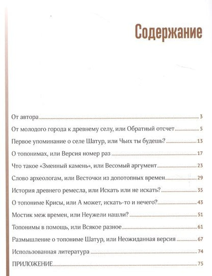 Фотография книги "Нина Лобова: Тайна имени "Шатура""