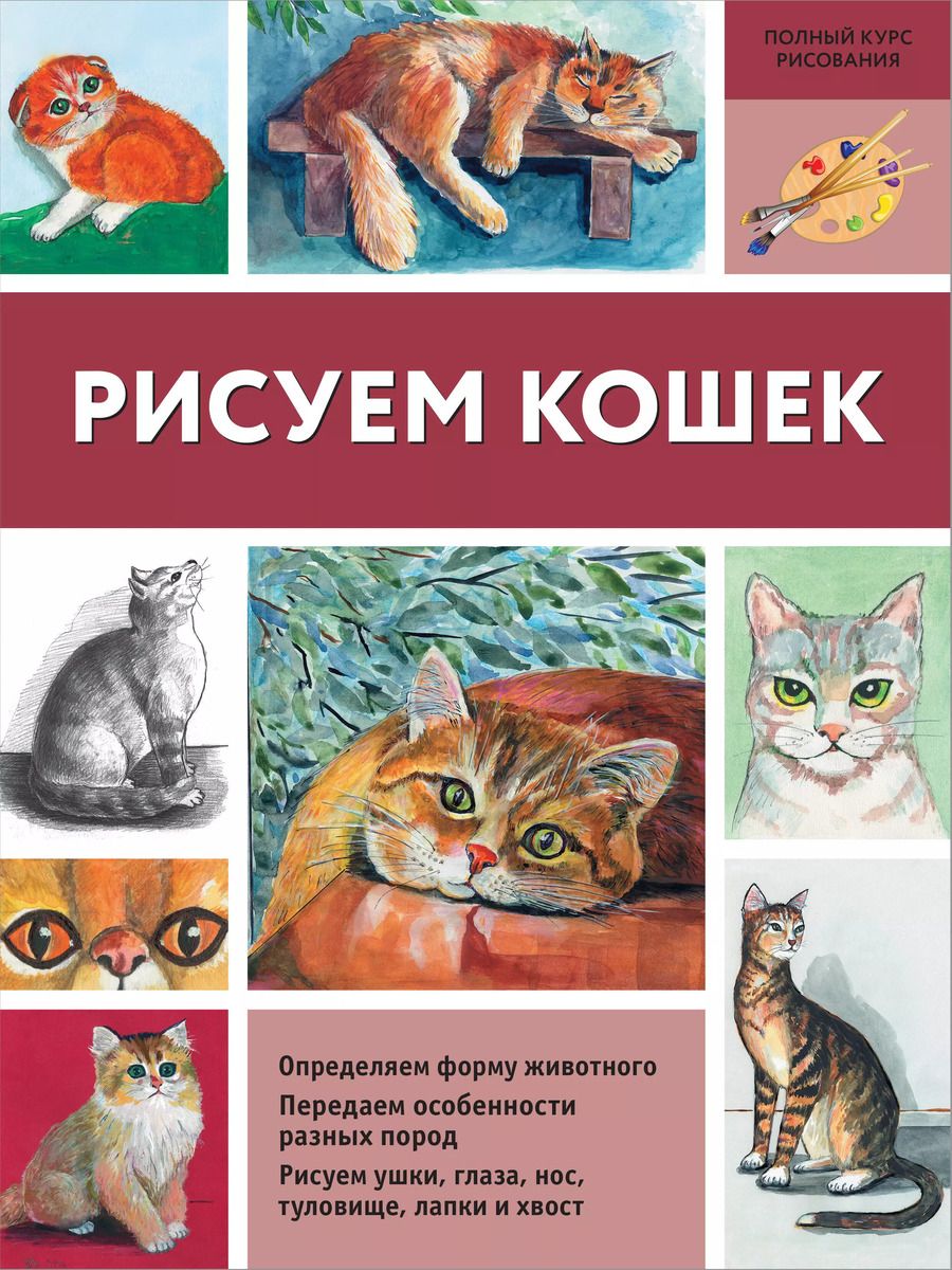 Обложка книги "Нина Щербакова: Рисуем кошек"